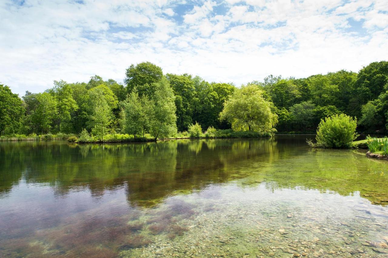 Отель Pinetum Gardens Retreats Сент-Остел Экстерьер фото