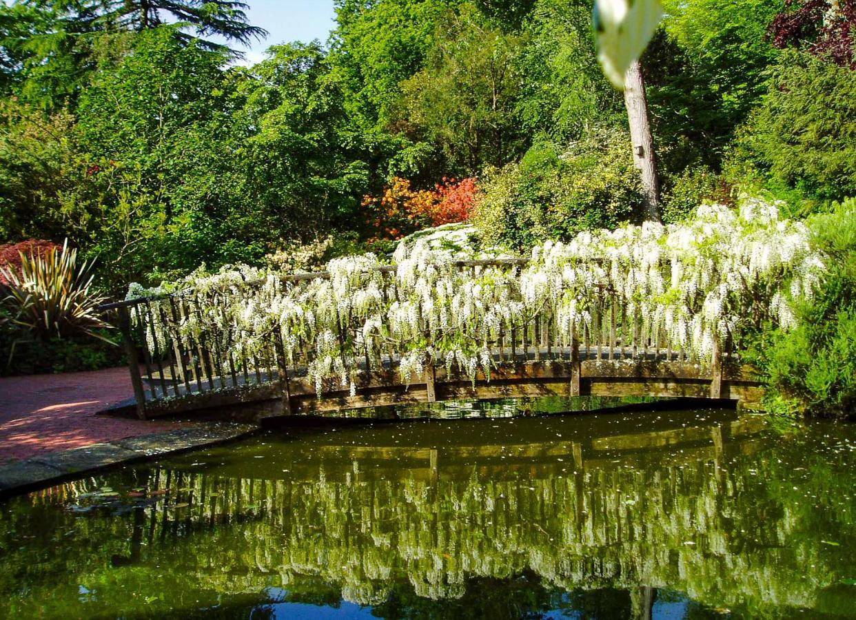 Отель Pinetum Gardens Retreats Сент-Остел Экстерьер фото
