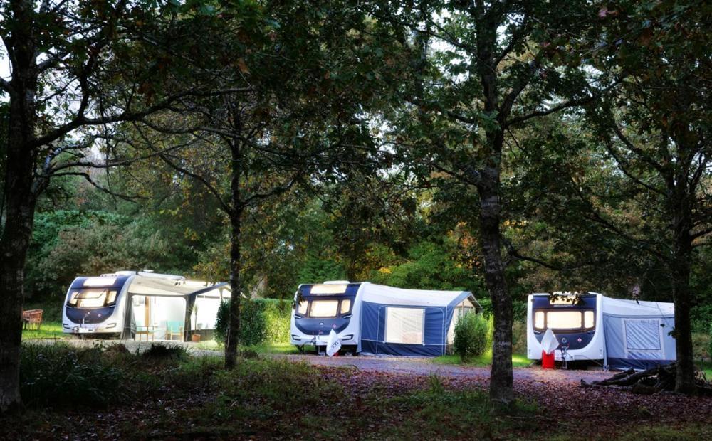 Отель Pinetum Gardens Retreats Сент-Остел Экстерьер фото